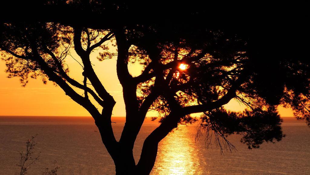 Canyelles Platja Roses Bagian luar foto